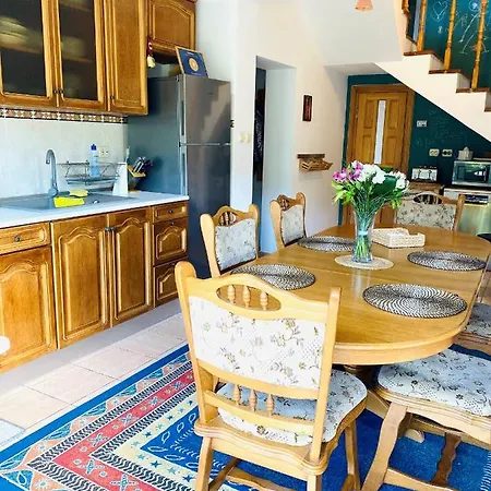 Homy Family House Bran (Brasov)